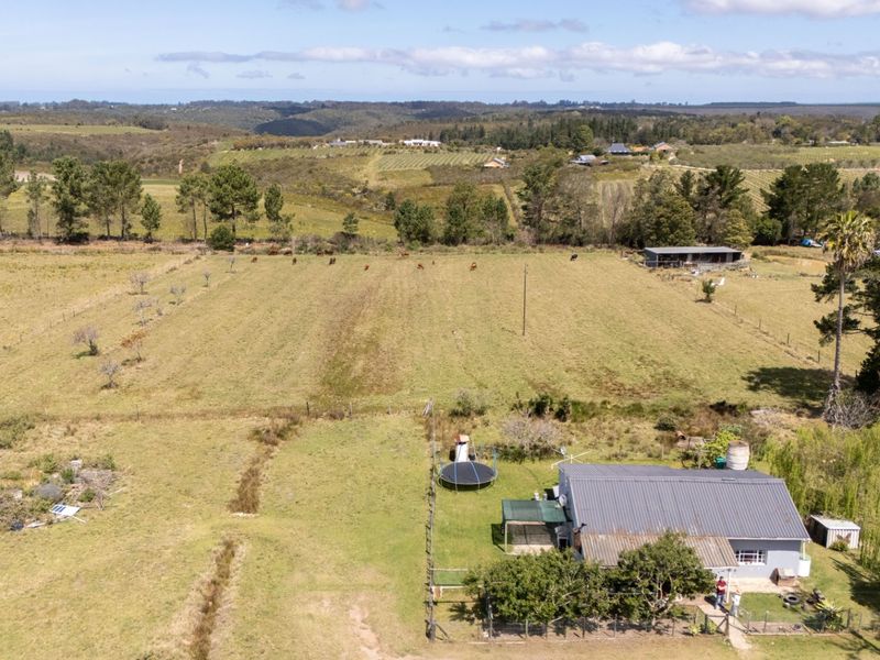 Small Farm with Grazing, Mountain Views - Photo 4