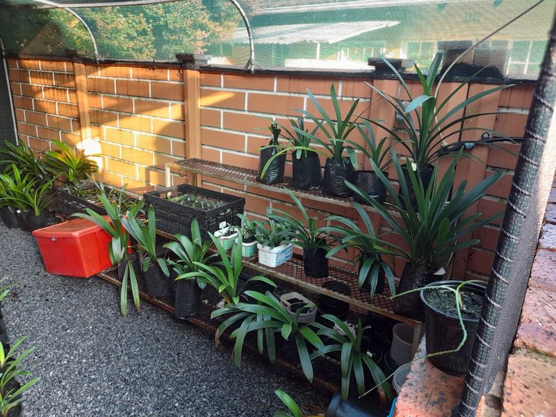 "3-bedroom home for sale in a sought-after area of Old Vaalpark." - Photo 6