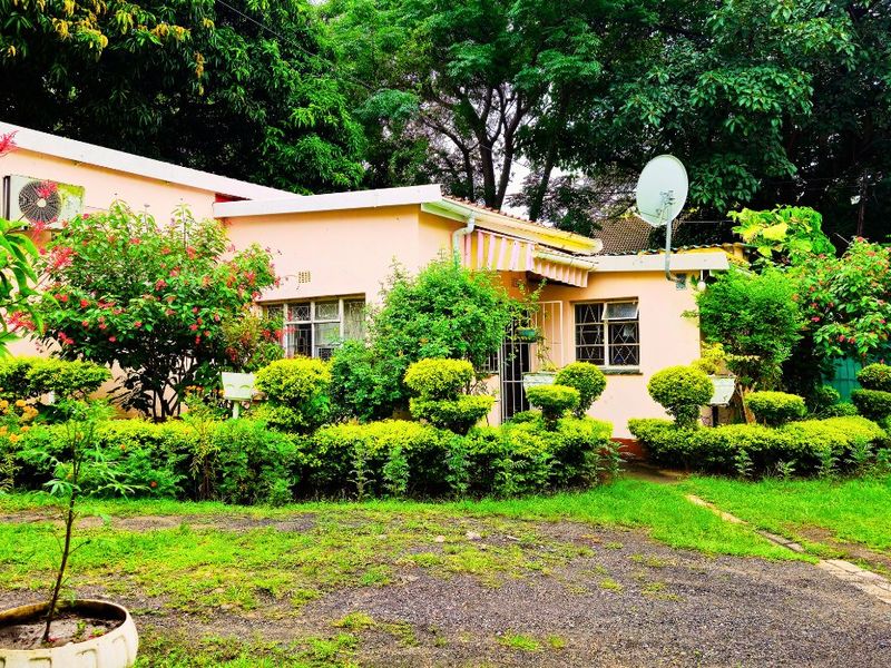 Spacious 3-Bedroom Home with Manicured Gardens and Fruit Trees - Photo 2