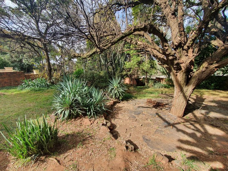 Take a deep breath - Photo 9