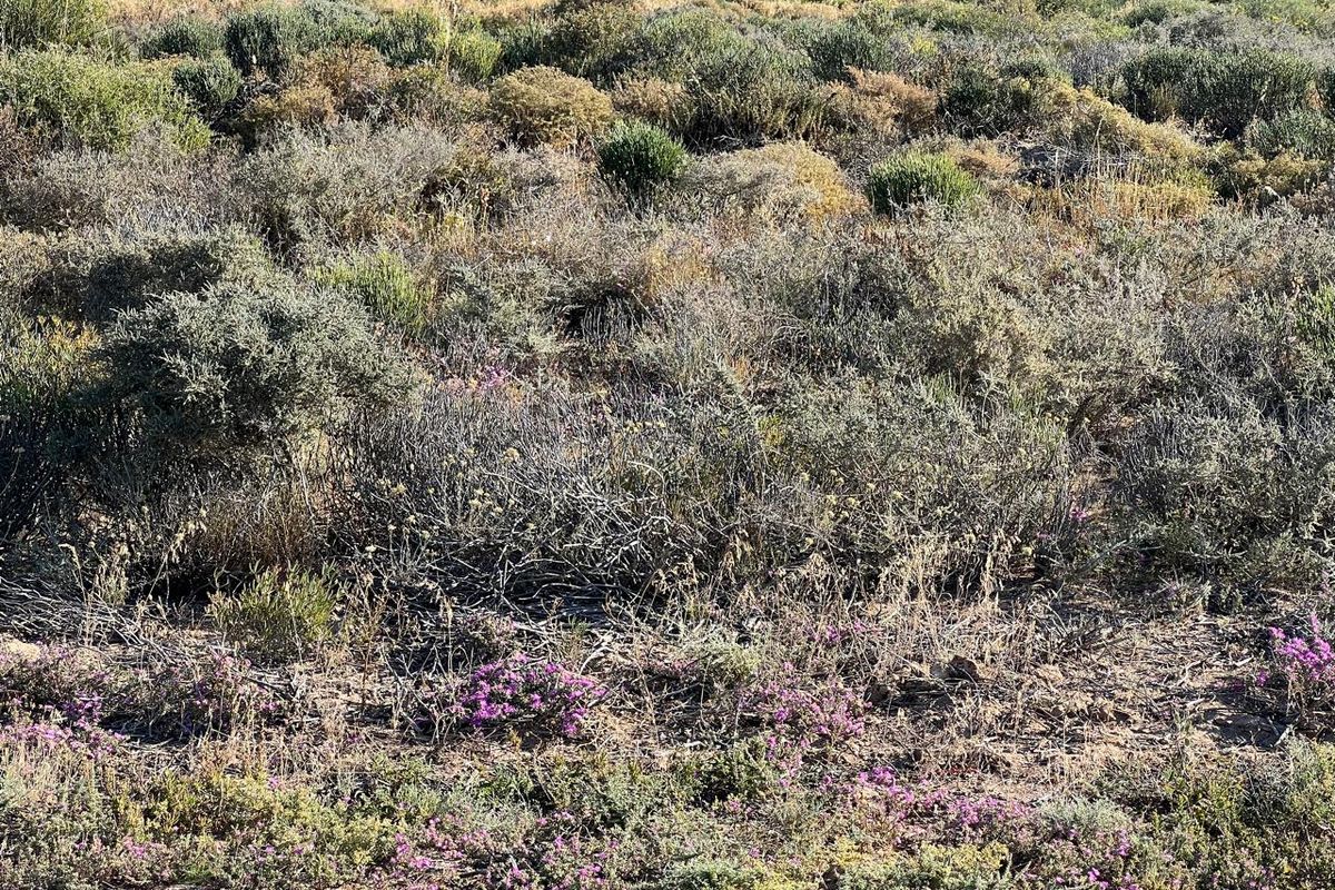 Vacant erf with ocean views in St Helena Bay - Photo 3