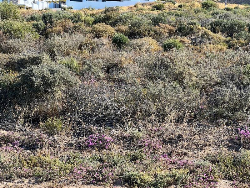 Vacant erf with ocean views in St Helena Bay - Photo 3