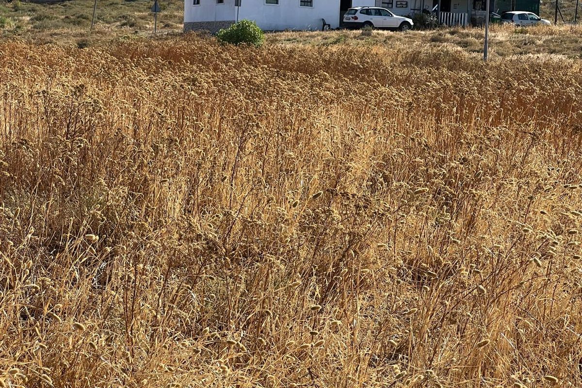 St Helena Views Vacant Erf with Potential - Photo 3