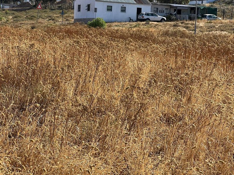 St Helena Views Vacant Erf with Potential - Photo 3