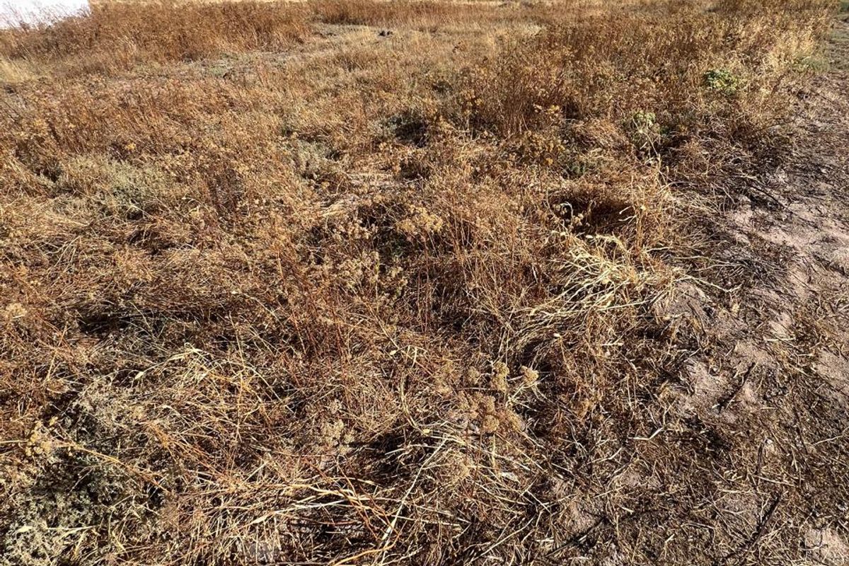 St Helena Views Vacant Erf with Potential - Photo 2