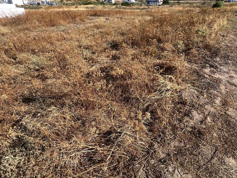 St Helena Views Vacant Erf with Potential - Photo 2