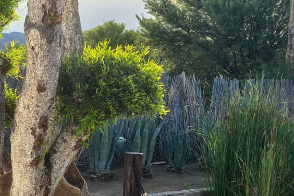 Tranquil Escape at Gariep Dam – A Profitable Lifestyle Investment - Photo 5