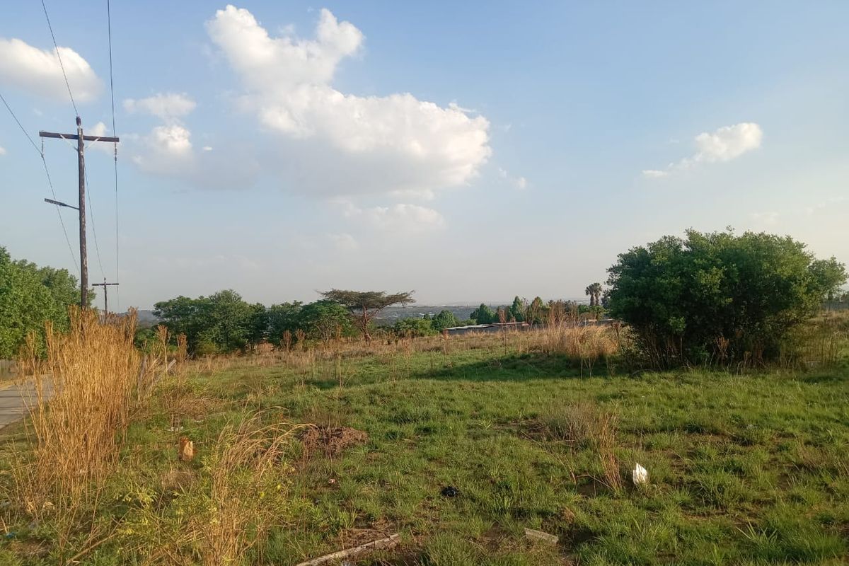 A vacant residential plot featuring natural grass cover, mature trees, and existing utility infrastructure including a power pole.
