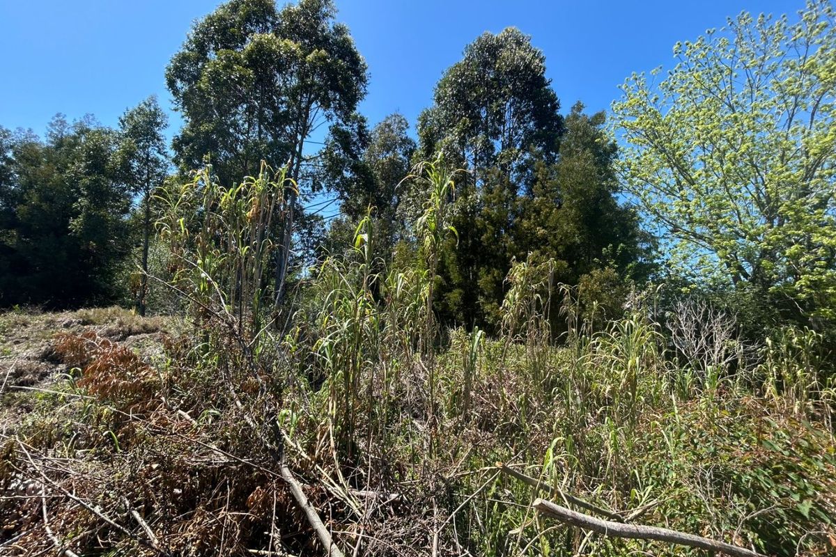 Prime 1963m2 Vacant Stand in Hunter’s Estate – Knysna - Photo 5