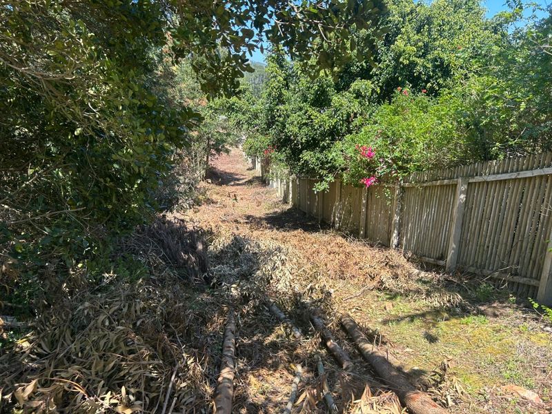 A view of a residential garden area featuring a timber boundary fence and mature trees, currently requiring clearing and landscaping maintenance.