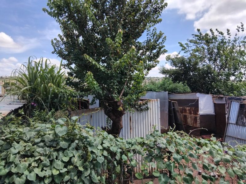 VACANT STAND FOR SALE WITH A SHACKSAVAILABLE FOR SALE - Photo 5