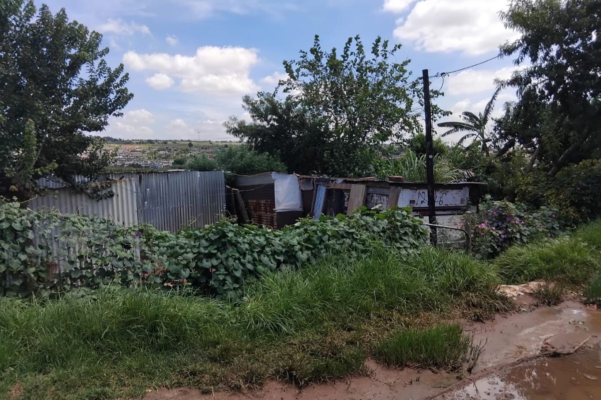 VACANT STAND FOR SALE WITH A SHACKSAVAILABLE FOR SALE - Photo 3