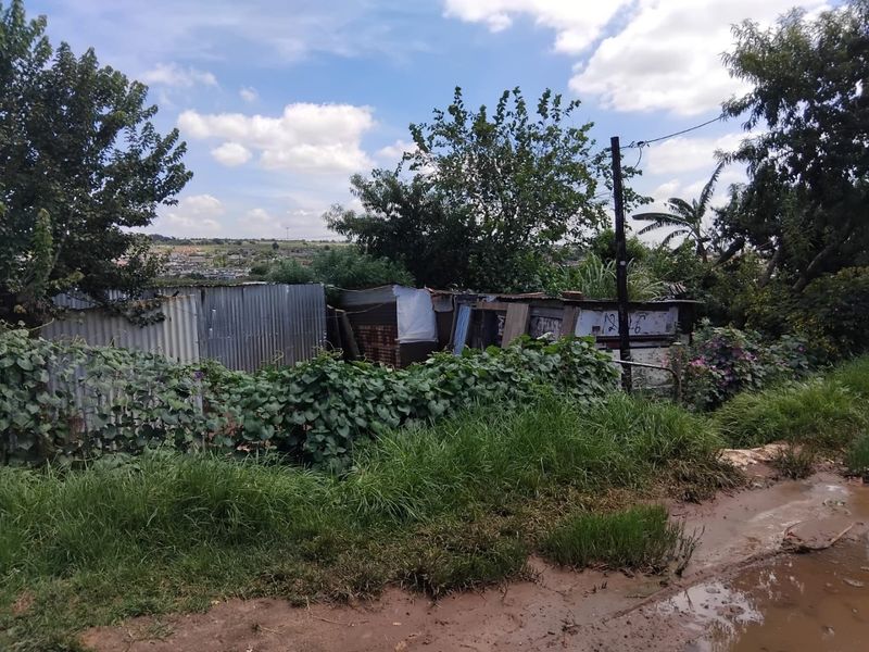 VACANT STAND FOR SALE WITH A SHACKSAVAILABLE FOR SALE - Photo 3