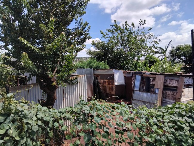 VACANT STAND FOR SALE WITH A SHACKSAVAILABLE FOR SALE - Photo 7