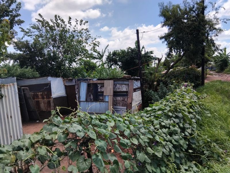 VACANT STAND FOR SALE WITH A SHACKSAVAILABLE FOR SALE - Photo 6