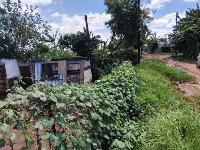 VACANT STAND FOR SALE WITH A SHACKSAVAILABLE FOR SALE - Photo 4