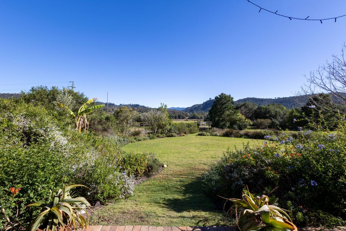 Wake to the sound of the fish eagles .... - Photo 2