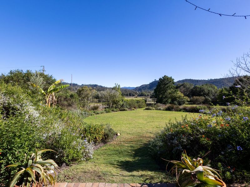 Wake to the sound of the fish eagles .... - Photo 2