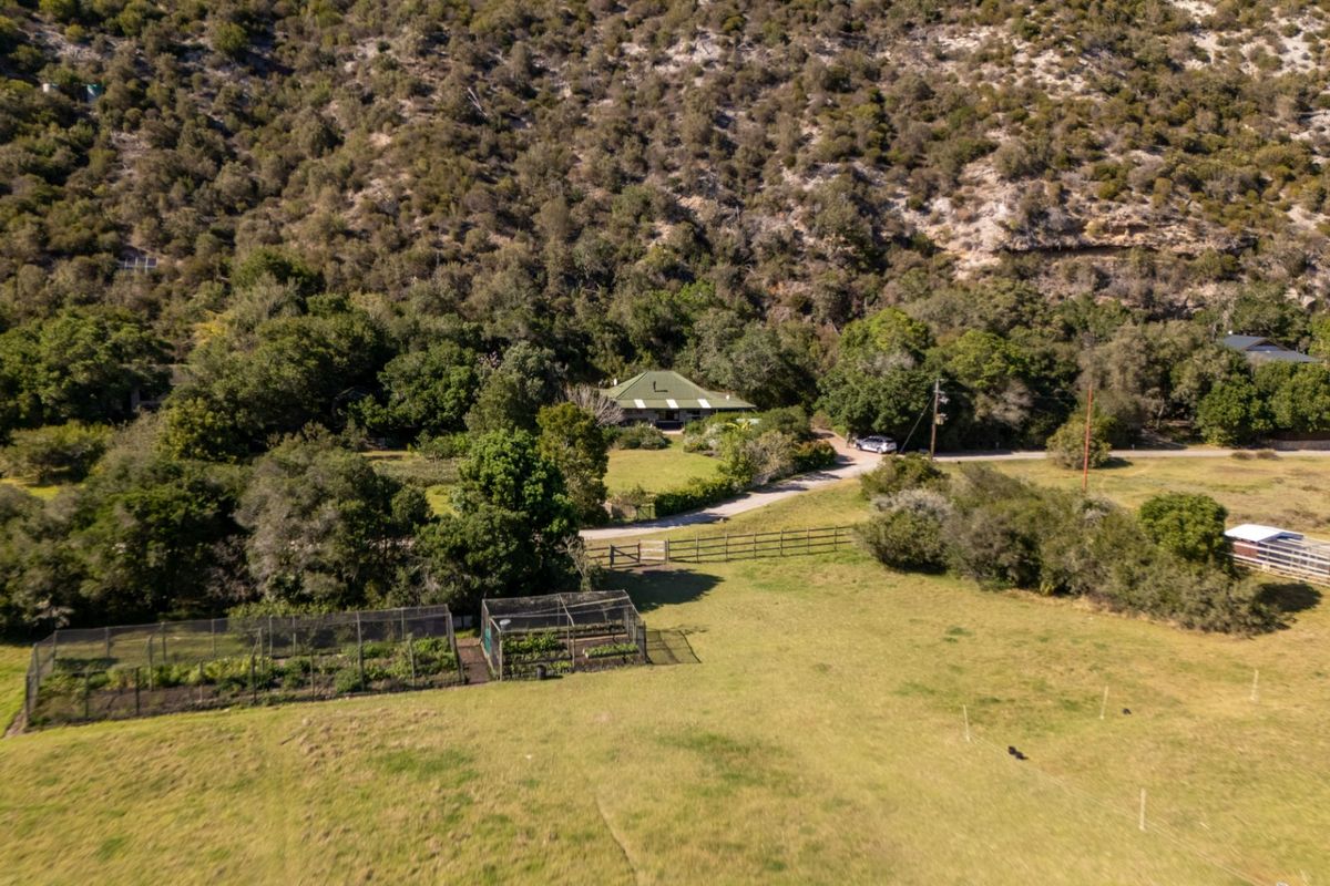 Wake to the sound of the fish eagles .... - Photo 3