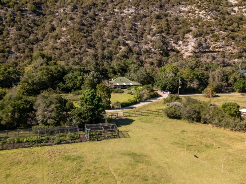 Wake to the sound of the fish eagles .... - Photo 3