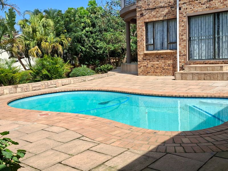 HOUSE FOR SALE - LOOK NO FURTHER - Photo 8