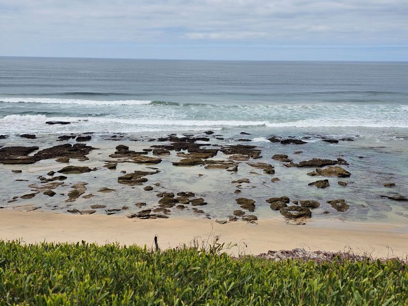 DAILY ON SHOW BY APPOINTMENT - Photo 6