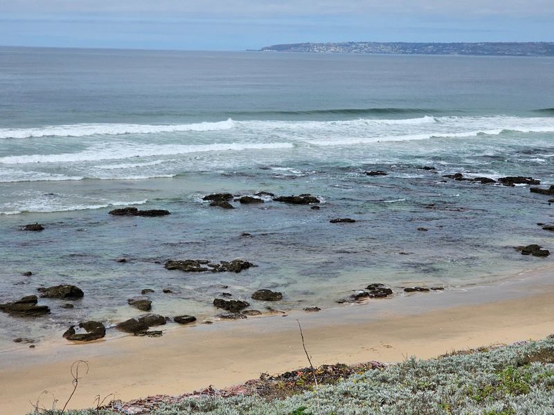 DAILY ON SHOW BY APPOINTMENT - Photo 8