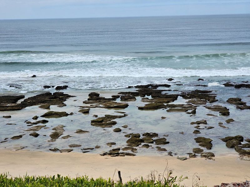 DAILY ON SHOW BY APPOINTMENT - Photo 7