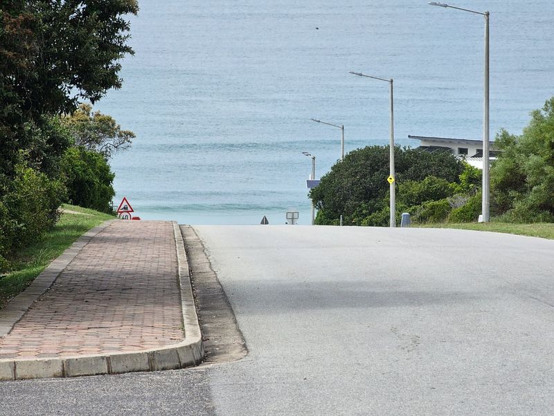 DAILY ON SHOW BY APPOINTMENT - Photo 4