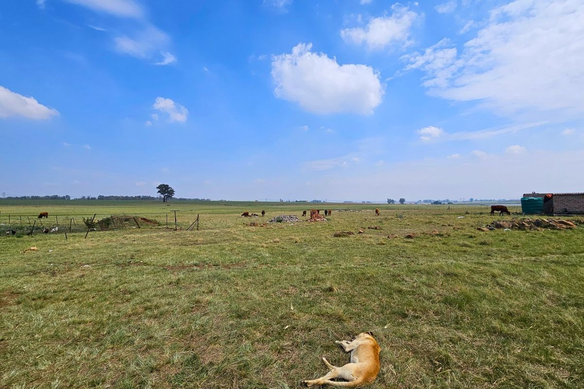 A sizable farm in the Midvaal Municipal area - Photo 2