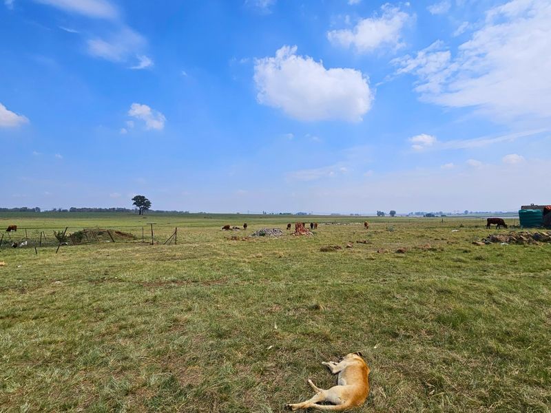 A sizable farm in the Midvaal Municipal area - Photo 2