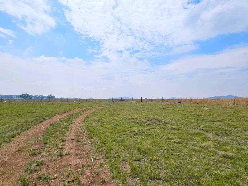 A sizable farm in the Midvaal Municipal area - Photo 6
