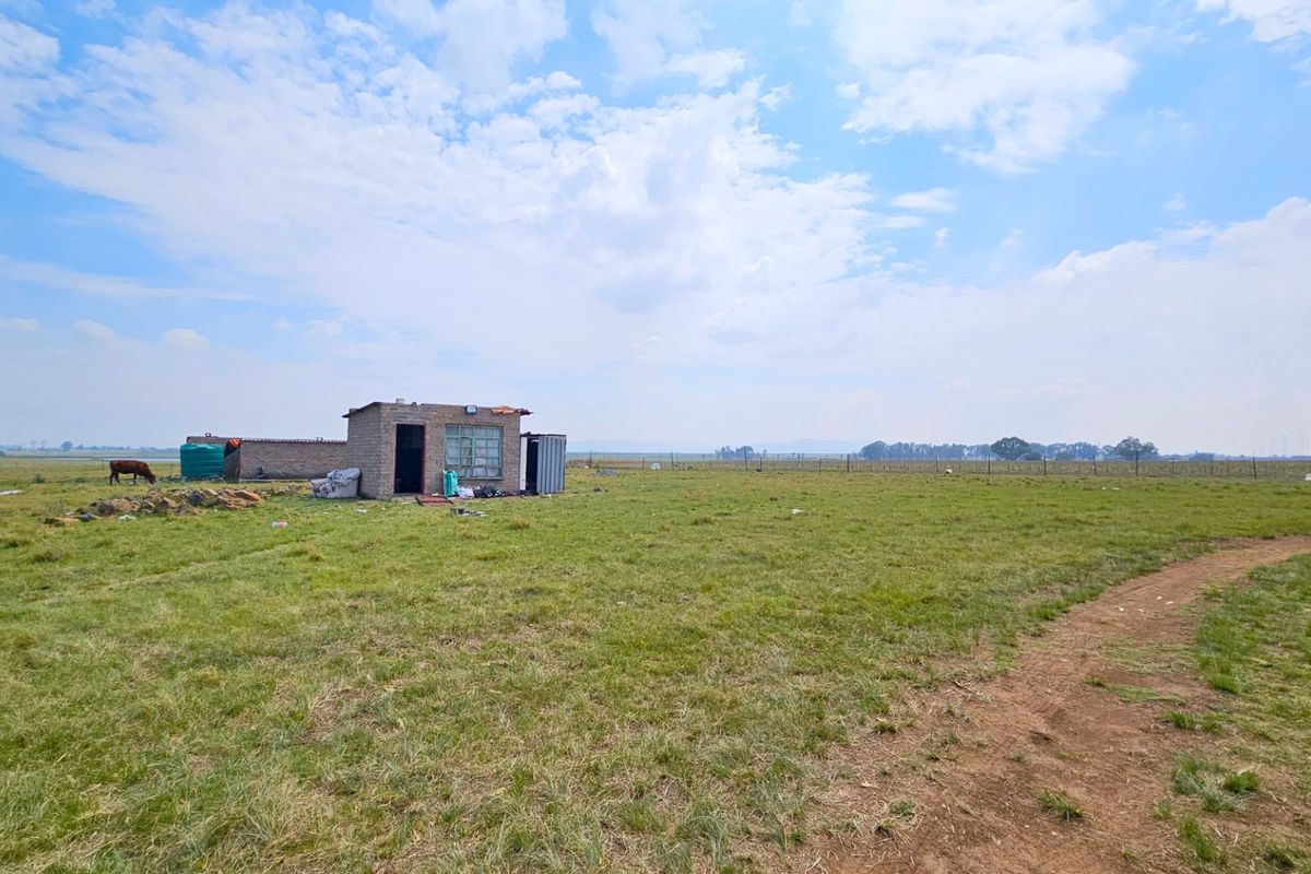 A sizable farm in the Midvaal Municipal area - Photo 5