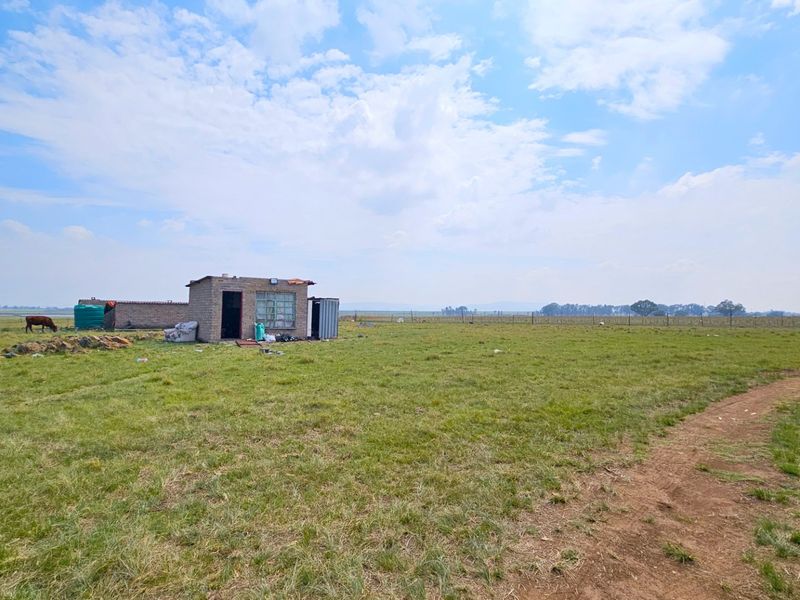 A sizable farm in the Midvaal Municipal area - Photo 5