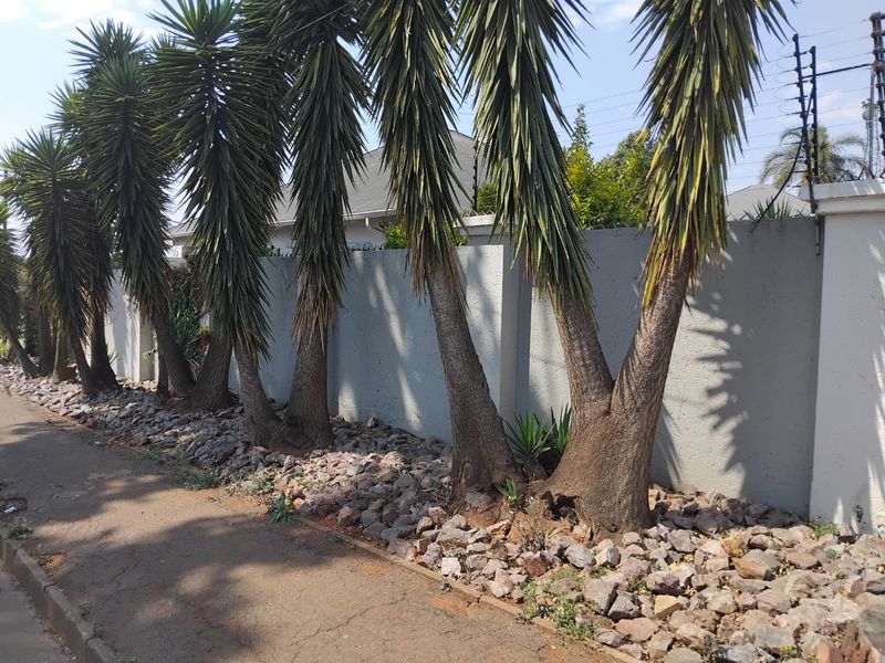 Beautiful Corner Stand Family Home in Kensington - Photo 9