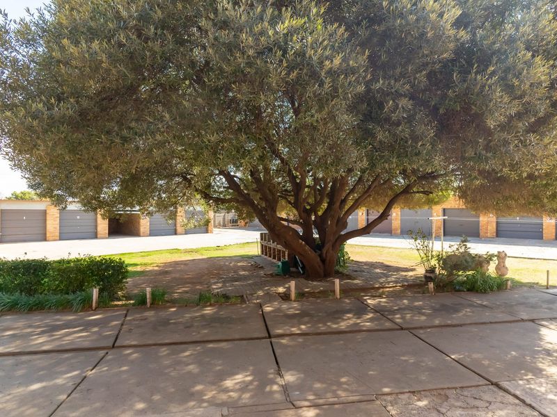 A view of the rear exterior area featuring a large mature tree, paved driveway, and a row of garage units.