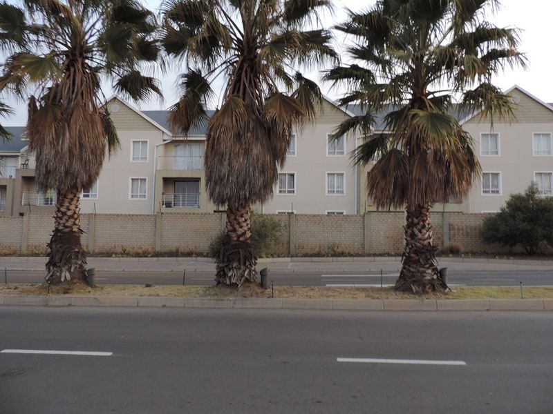 Street view showing the exterior facade of the apartment complex, featuring a perimeter wall and mature palm trees along the roadside.