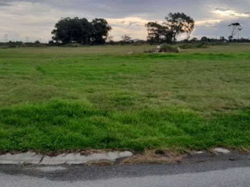 Plot For Sale In Parsonsvlei - Photo 6