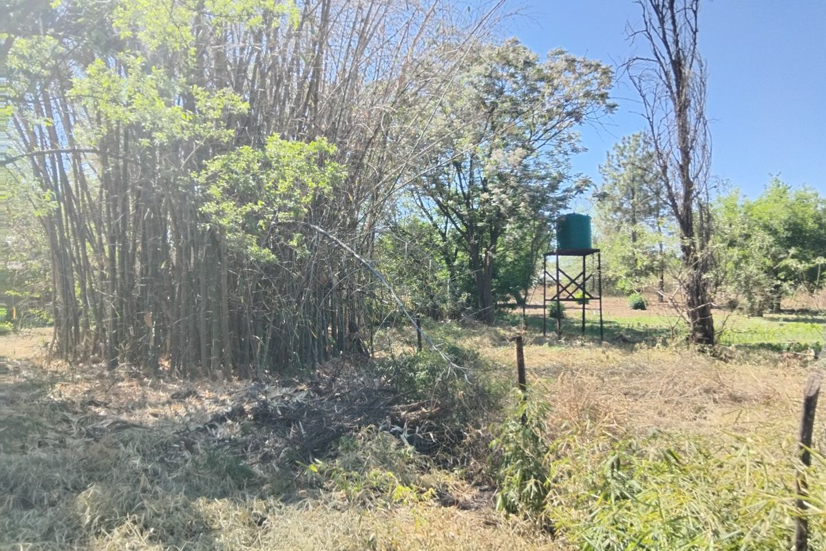 THREE OFFICES, 40 SQUARE METERS GENERAL BUSINESS PROPERTY FOR RENTAL - Photo 4