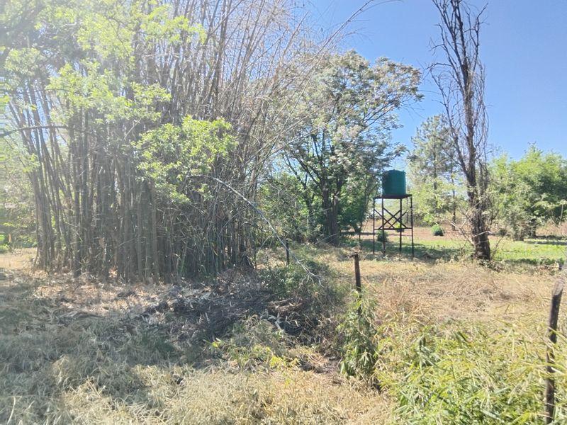 THREE OFFICES, 40 SQUARE METERS GENERAL BUSINESS PROPERTY FOR RENTAL - Photo 4