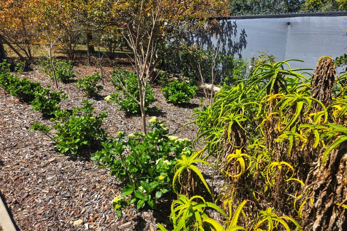 Create Your Countryside Dream in Hoekwil - Photo 4