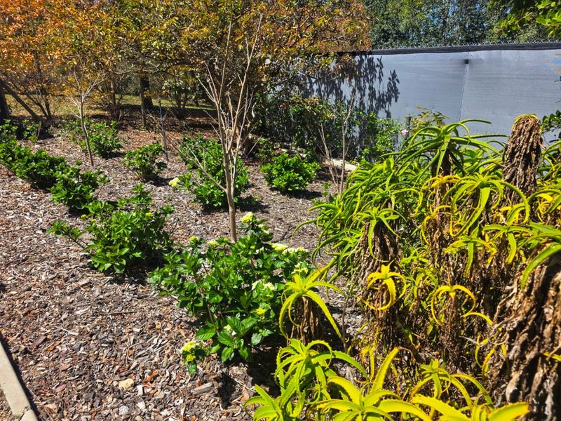 Create Your Countryside Dream in Hoekwil - Photo 4