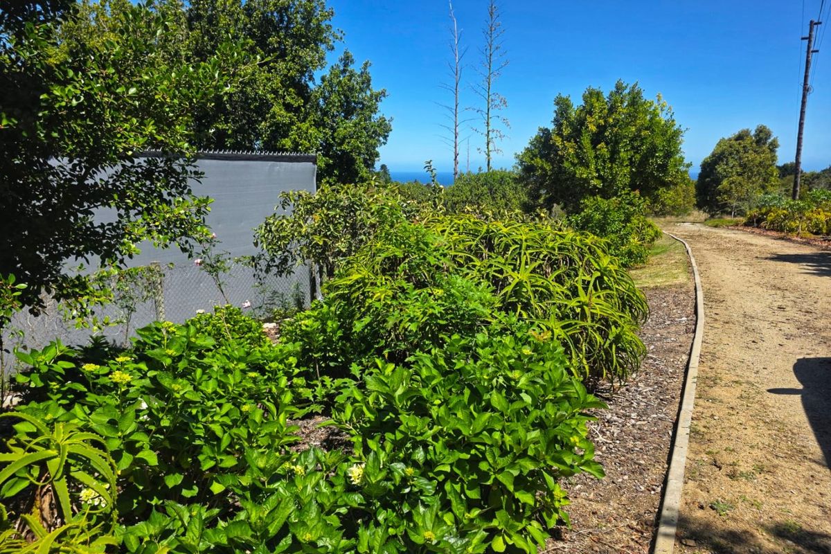 Create Your Countryside Dream in Hoekwil - Photo 5