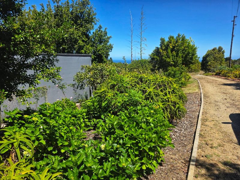 Create Your Countryside Dream in Hoekwil - Photo 5