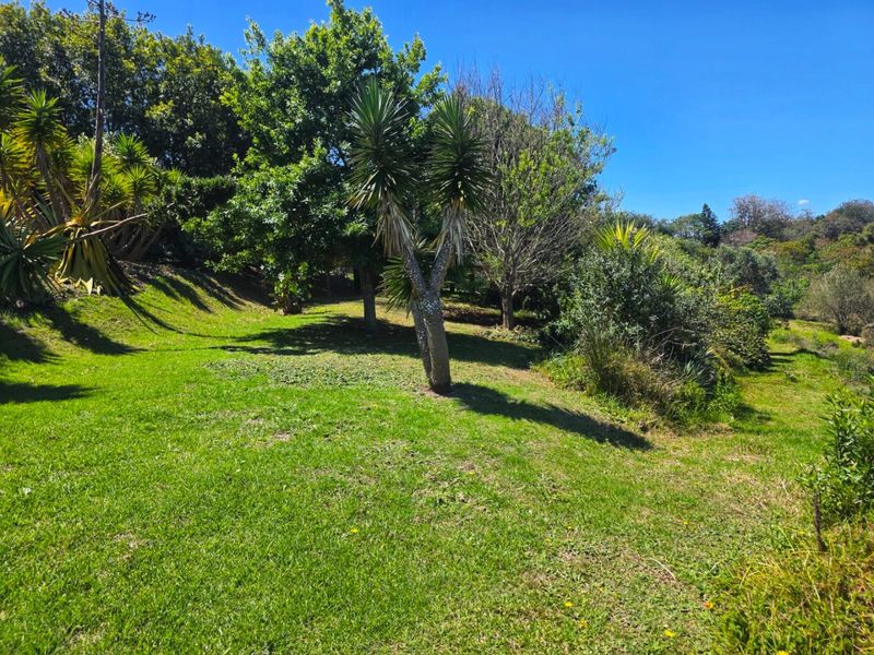 Create Your Countryside Dream in Hoekwil - Photo 9