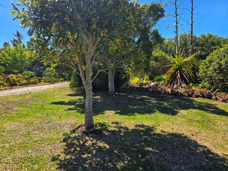 Create Your Countryside Dream in Hoekwil - Photo 8