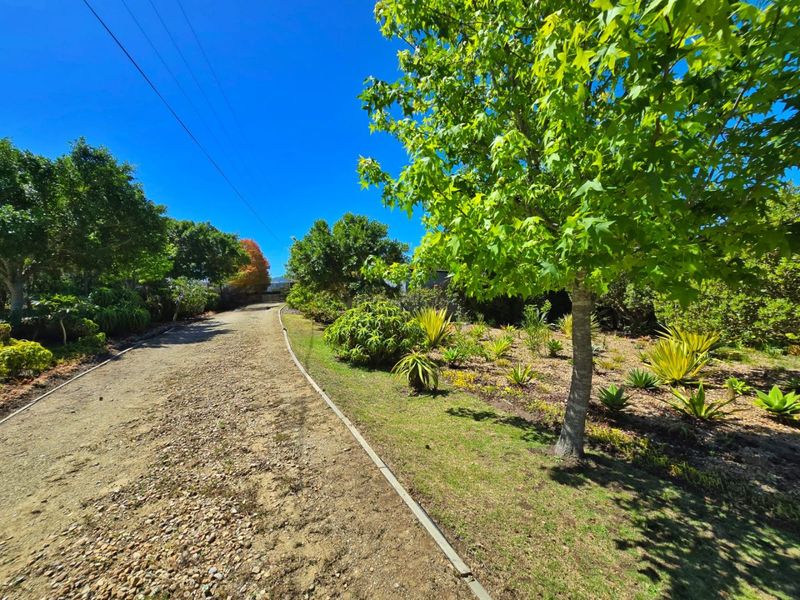 Create Your Countryside Dream in Hoekwil - Photo 6