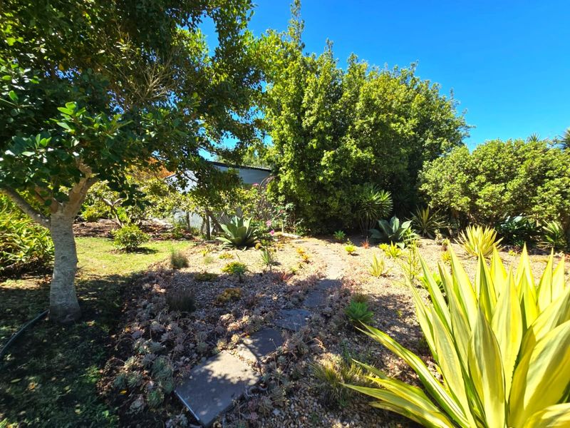 Create Your Countryside Dream in Hoekwil - Photo 7