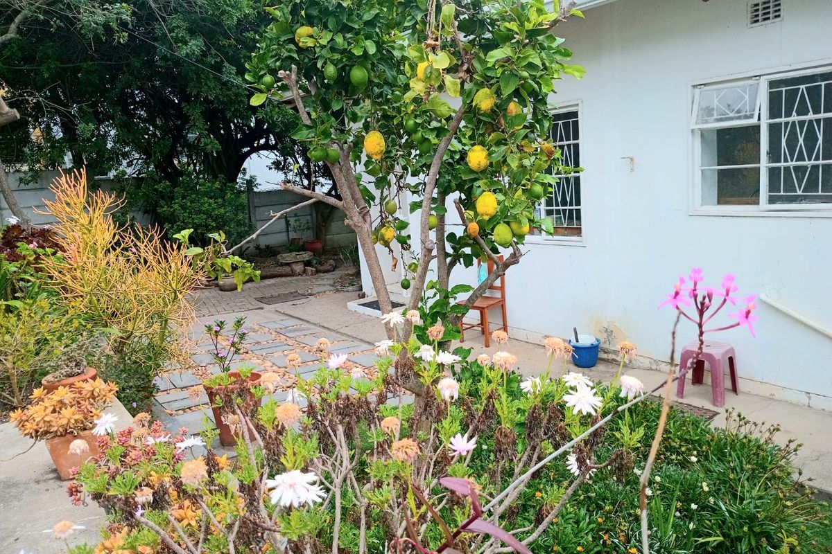 Versatile Knysna Central Home with Lagoon Views and One Bedroom Flatlet - Photo 5