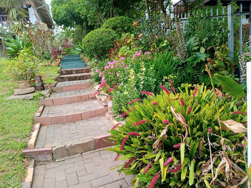 Versatile Knysna Central Home with Lagoon Views and One Bedroom Flatlet - Photo 10